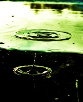 /album/www-pix-fx-de/bild-980-o-2-jpg/